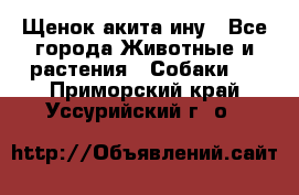 Щенок акита ину - Все города Животные и растения » Собаки   . Приморский край,Уссурийский г. о. 